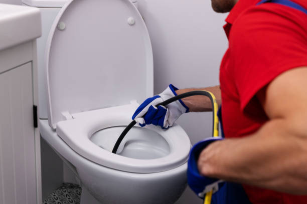 Best Sewer Line Repair  in Laingsburg, MI