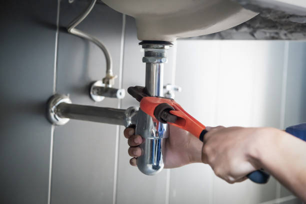 Best Best Plumbers Near Me  in Laingsburg, MI