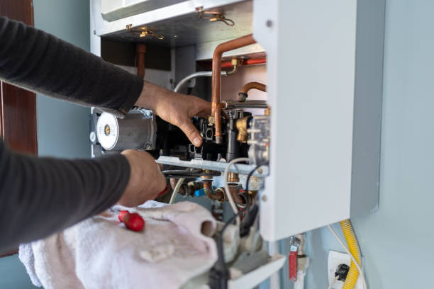 Best Same-Day Plumbing Service  in Laingsburg, MI